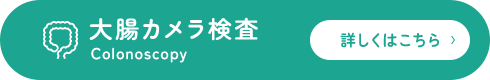 大腸カメラ検査Colonoscopy 詳しくはこちら
