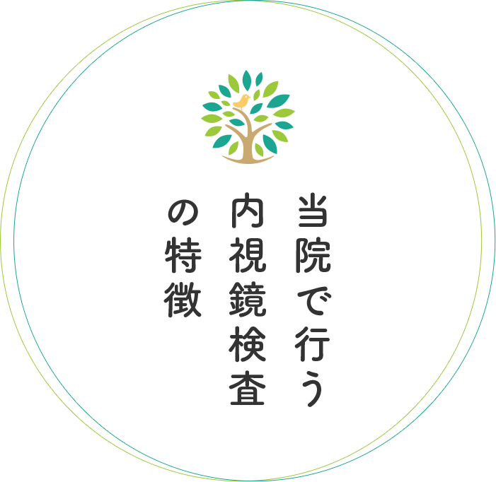 当院で行う内視鏡検査の特徴